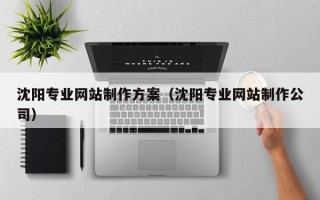 招远沈阳专业网站制作方案（沈阳专业网站制作公司）
